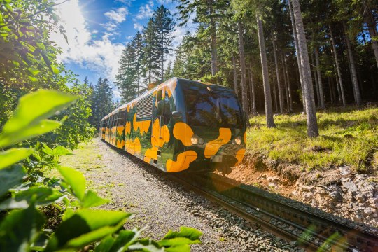 Der Salamander-Zug bei seiner Talfahrt, © NB/Stranz Der Salamander-Zug bei seiner Talfahrt, © NB/Stranz