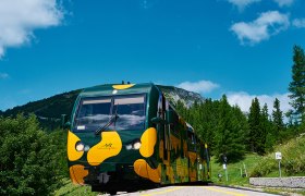 Firmenausflüge mit dem Salamander auf den Hochschneeberg, © NB/Wegerbauer Salamander Zahradbahn bei einer Fahrt