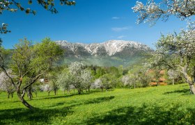 Schneeberg im Fr&uuml;hling, &copy; N&Ouml;VOG/Zwickl