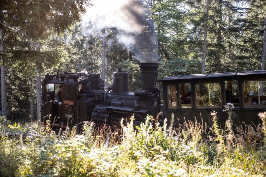 Der Dampfzug im Wald, &copy; NB/Fr&uuml;hmann