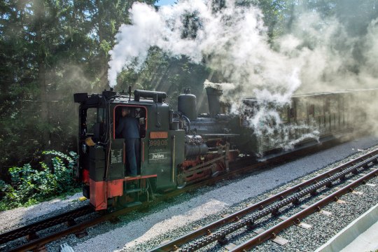 Der Nostalgie-Dampfzug in voller Pracht, &copy; NB/Zwickl