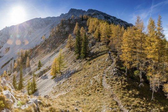 Der Fadensteig bei der Schneeberg Sesselbahn, &copy; NB/Zwickl